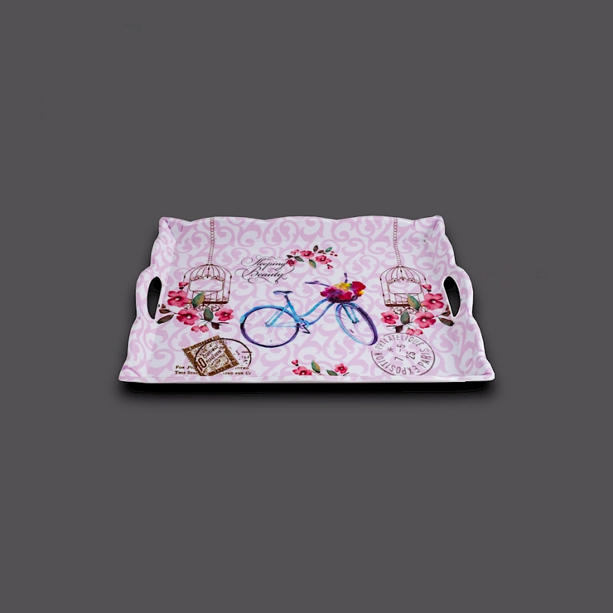 Mini Tray With Handle