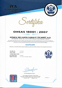 ISO 18001 - 2007